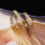Black Friday Promotion-Shiny Diamond Hoop Earrings